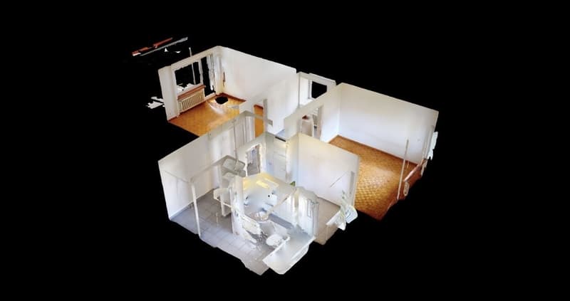 2 1/2 Rooms Apartment (2)