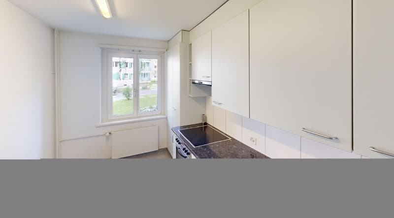 2 1/2 Rooms Apartment (3)