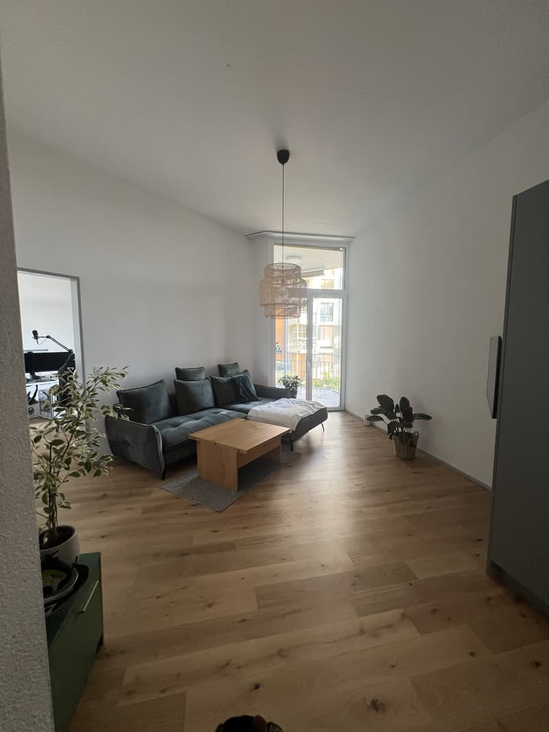 3.5-Room New Apartment in Haus Weiler Neuhegi (1)