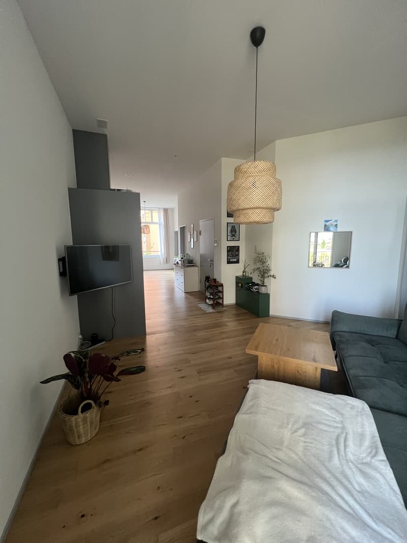 3.5-Room New Apartment in Haus Weiler Neuhegi (4)