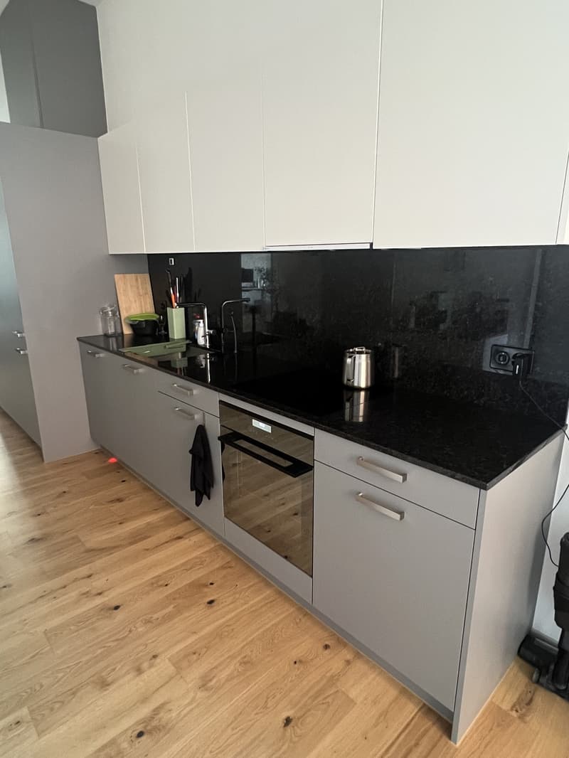 3.5-Room New Apartment in Haus Weiler Neuhegi (7)