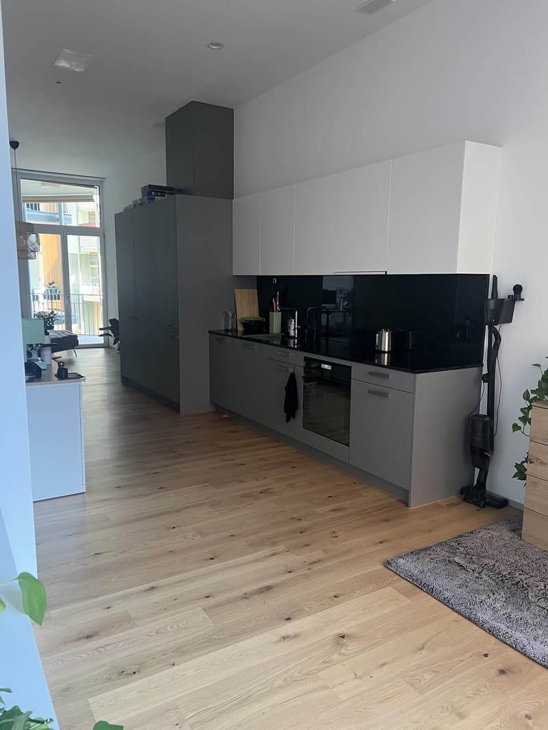 3.5-Room New Apartment in Haus Weiler Neuhegi (6)