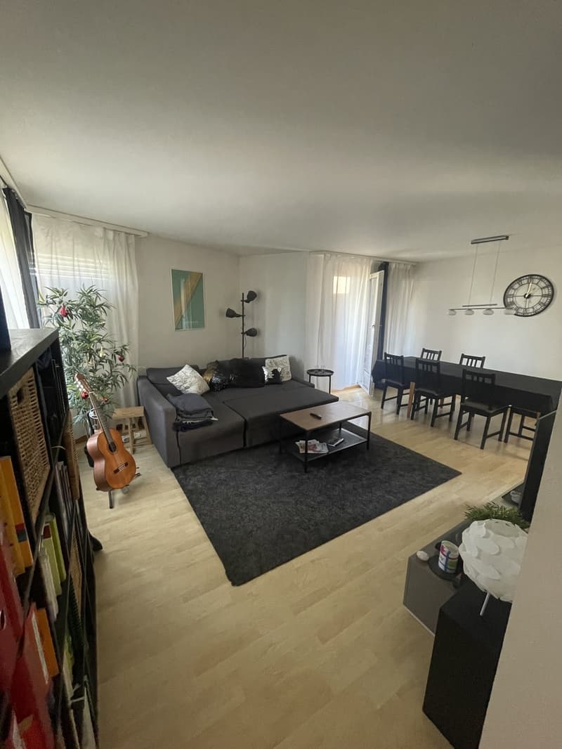 3,5-Zimmerwohnung im beliebten Breitenrain (1)