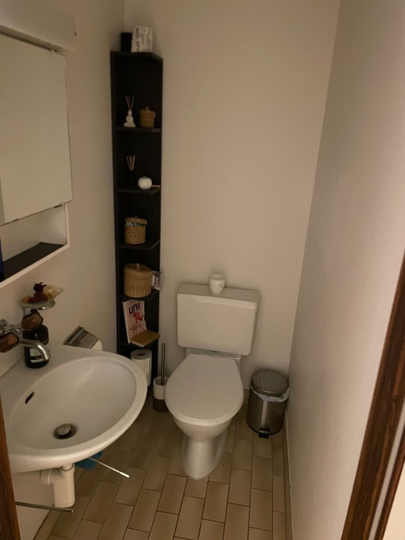3,5-Zimmerwohnung im beliebten Breitenrain (5)