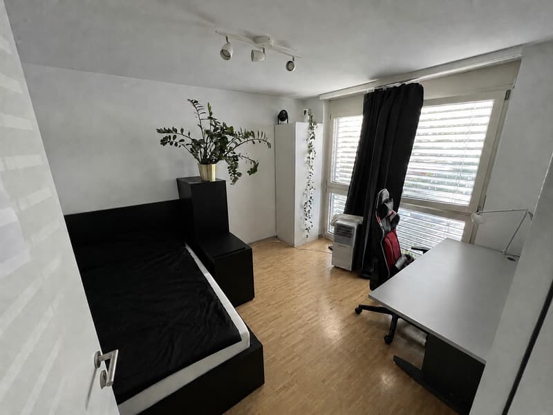 2 Zimmer + eigenes Bad in über 100 m² Wohnung, 4,5 Zimmerwohnung (3)