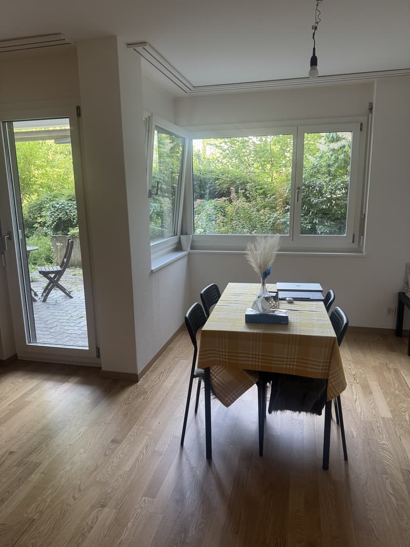 Bright & Spacious 1.5-Room Apartment with a Terrace (6)