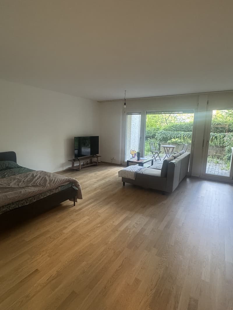 Bright & Spacious 1.5-Room Apartment with a Terrace (2)