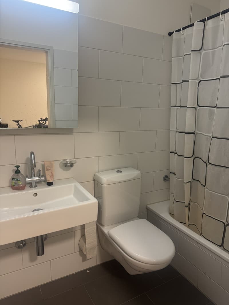 Bright & Spacious 1.5-Room Apartment with a Terrace (3)