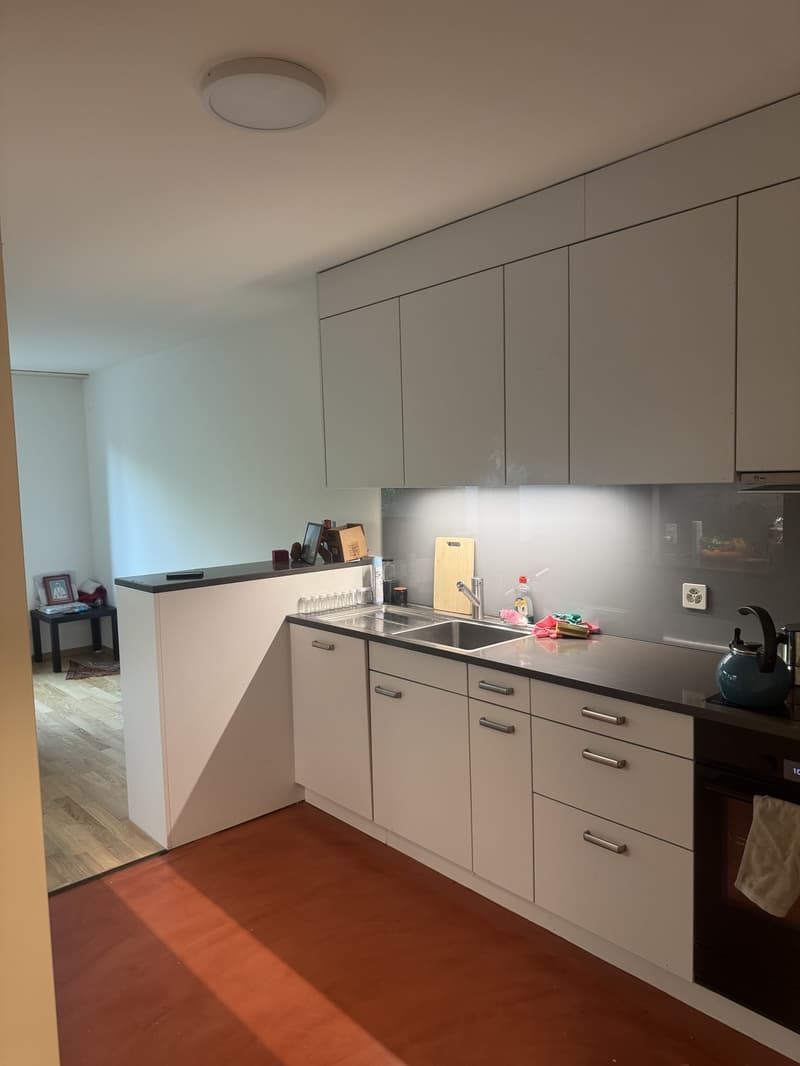 Bright & Spacious 1.5-Room Apartment with a Terrace (7)