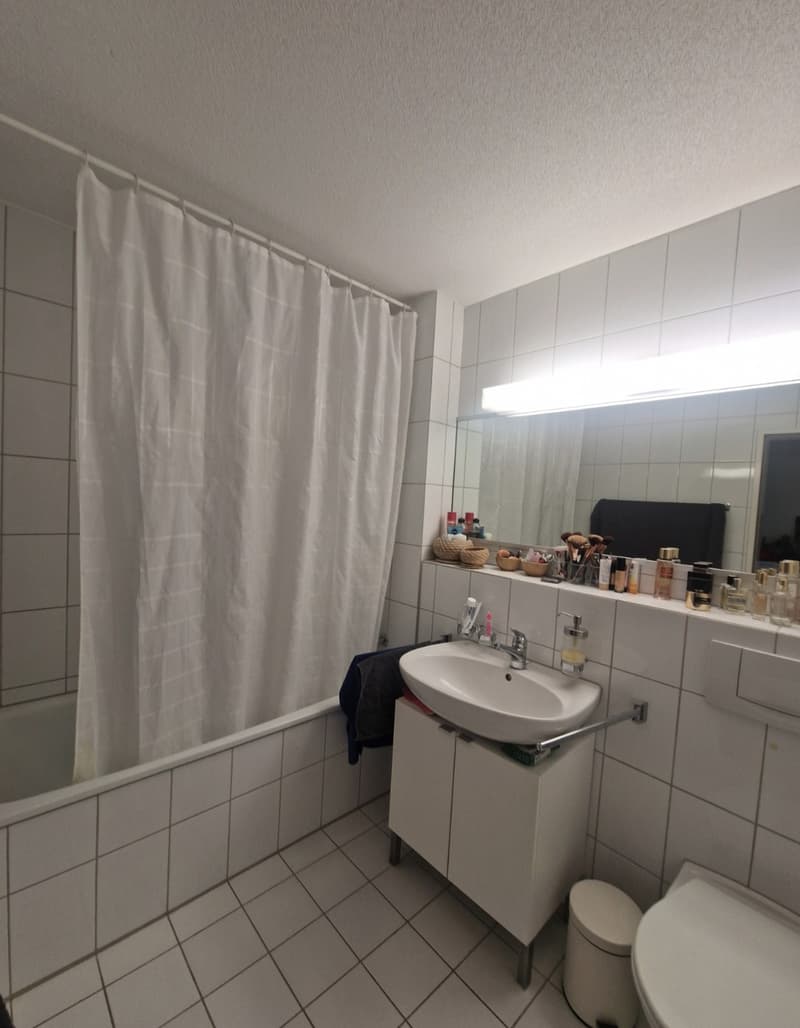 Suche Nachmieter für grosszügige 2.5-ZiWo (5)