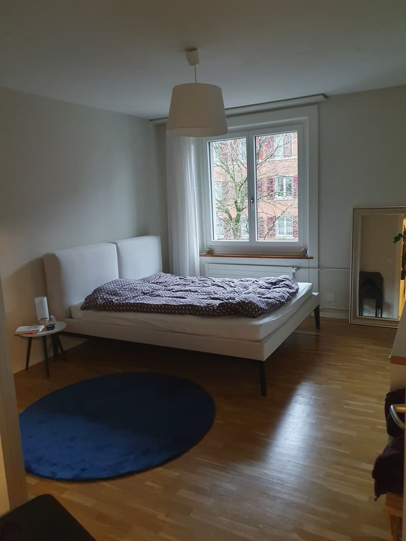 Zentral gelegene Wohnung im Kreis 4 BEFRISTET zu vermieten (5)