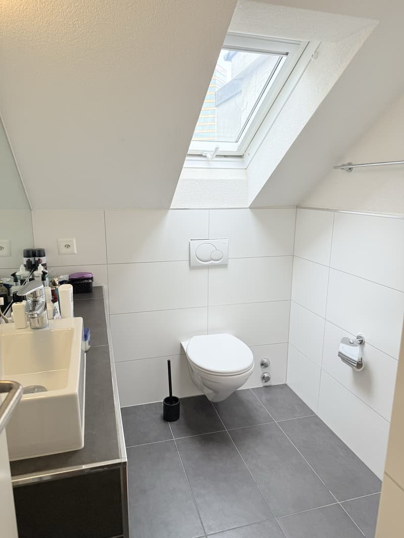Bright Top Floor Appartement right by Oerlikon Bahnhof for Rent close to Universities (4)