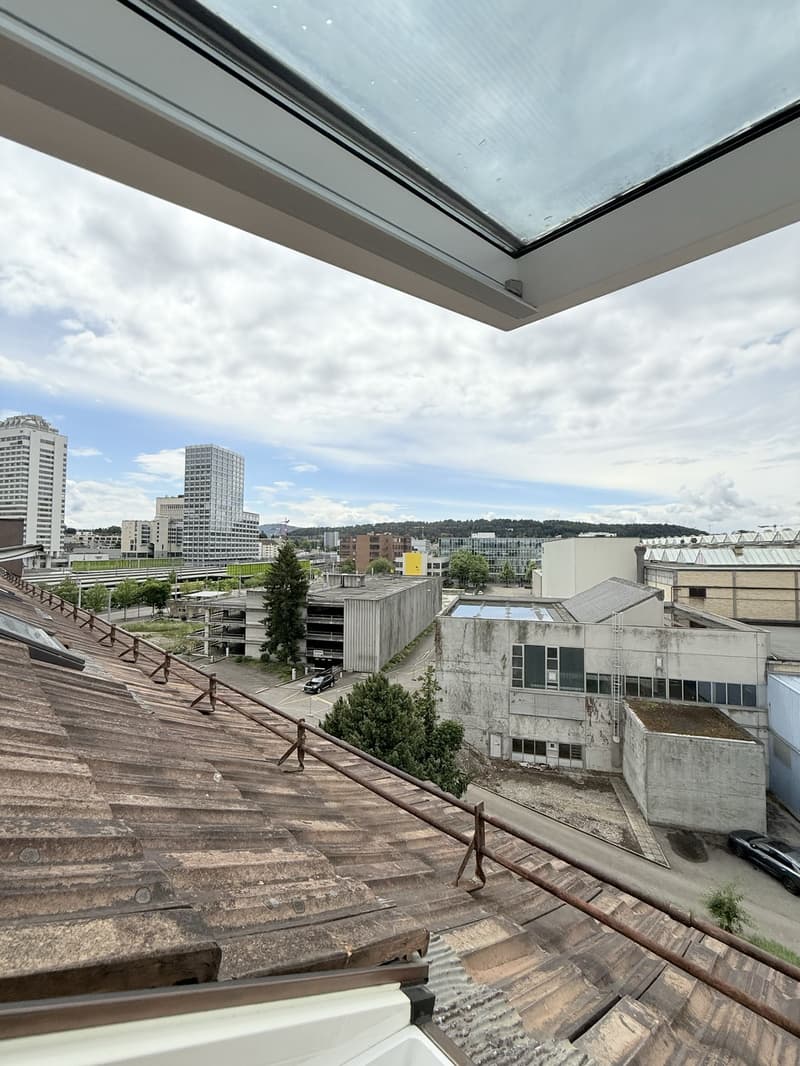 Bright Top Floor Appartement right by Oerlikon Bahnhof for Rent close to Universities (6)