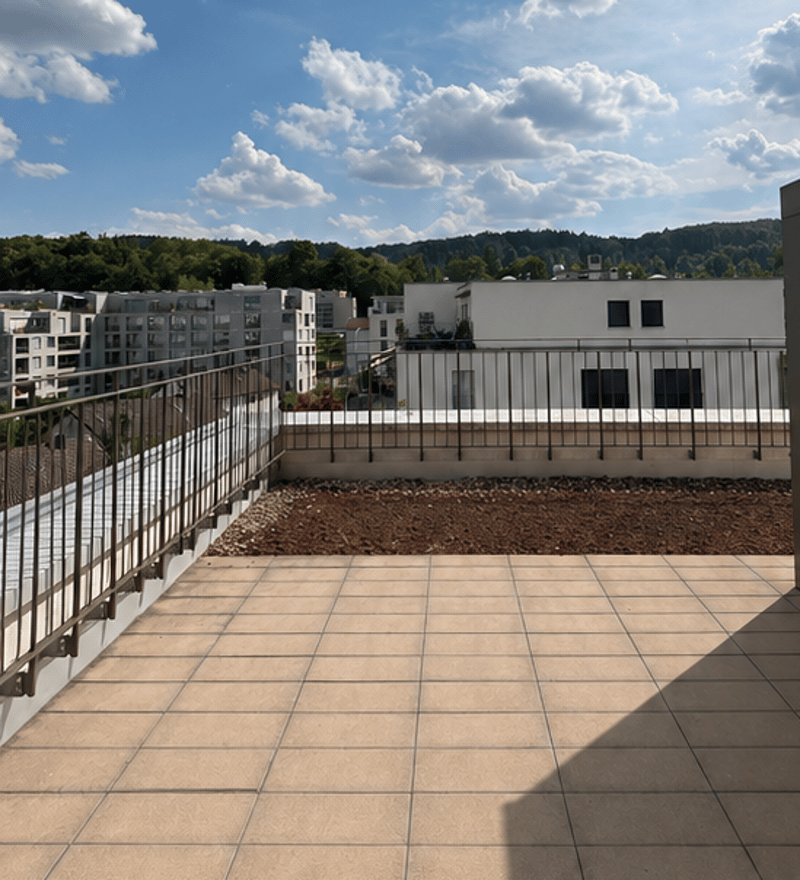 2.5-Zimmer-Wohnung mit grosser Dachterrasse (5)
