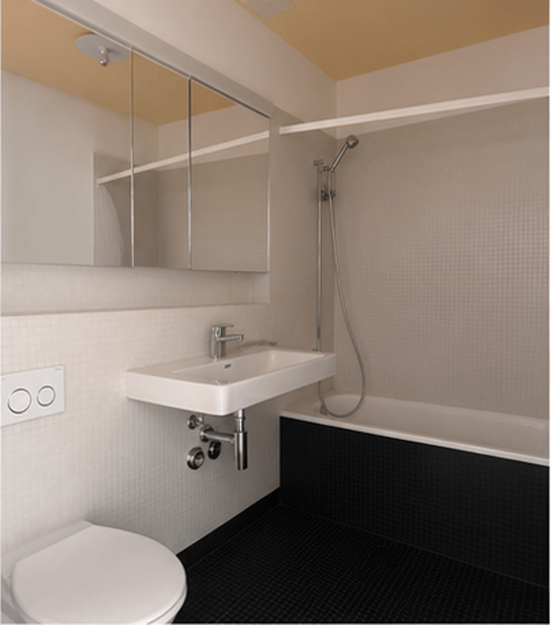 2.5-Zimmer-Wohnung mit grosser Dachterrasse (4)