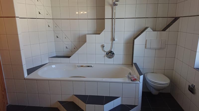 Central 4.5 room apartment (5)