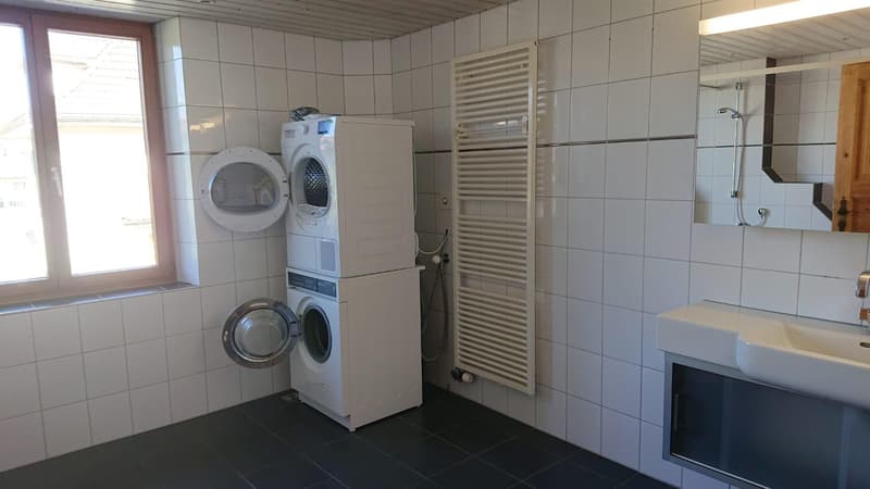 Central 4.5 room apartment (4)