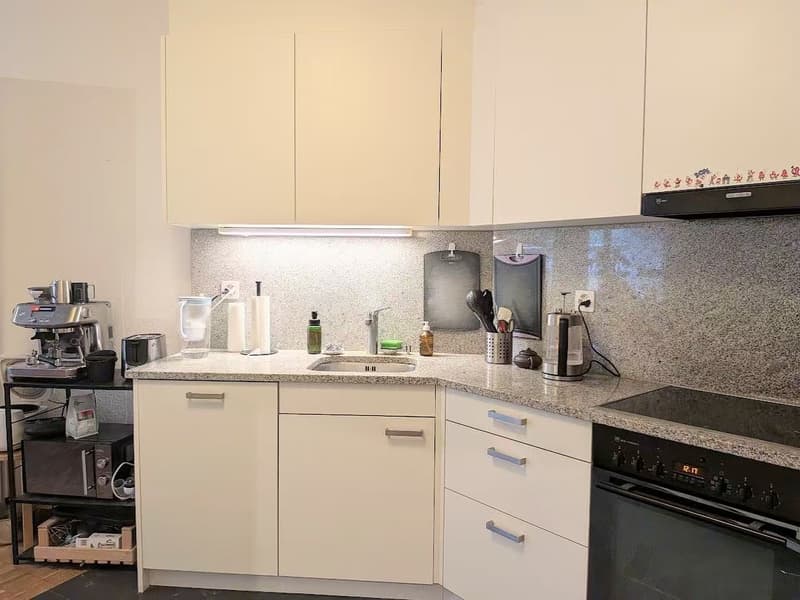 Cozy 3.5-Room Apartment with Private Garden Walking Distance to Sihlcity! (7)