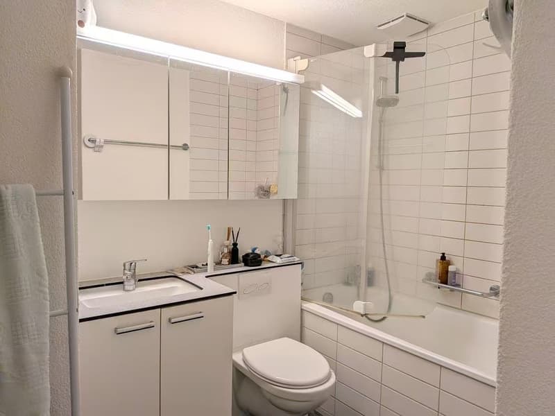 Cozy 3.5-Room Apartment with Private Garden Walking Distance to Sihlcity! (8)