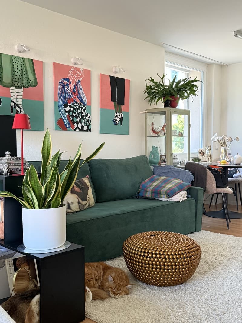 Stilvolle 1-Zimmer-Wohnung im Kreis 7 Zürich (1)