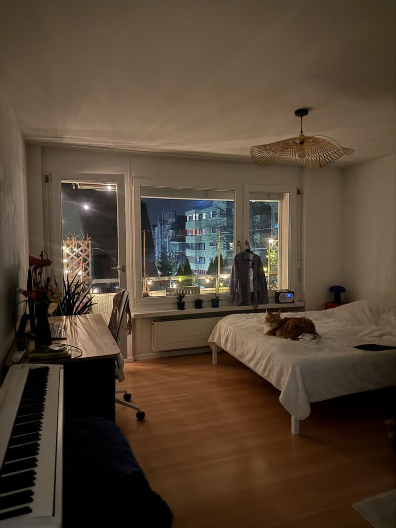 Stilvolle 1-Zimmer-Wohnung im Kreis 7 Zürich (3)