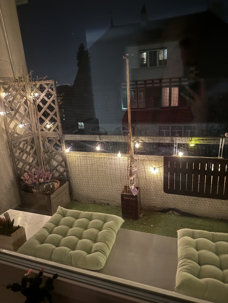 Stilvolle 1-Zimmer-Wohnung im Kreis 7 Zürich (5)