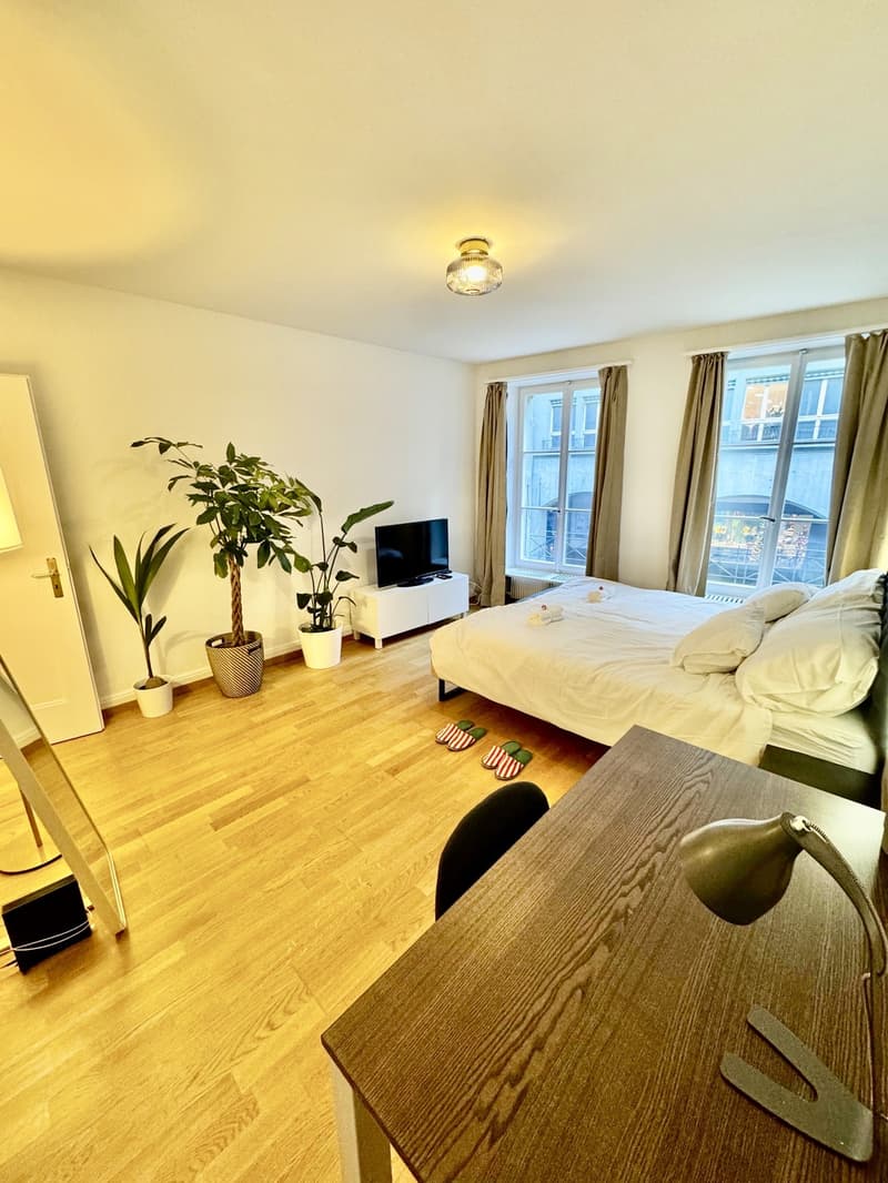 3-Zimmerwohnung im Zentrum von Bern (7)