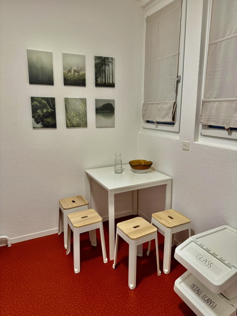 3-Zimmerwohnung im Zentrum von Bern (4)