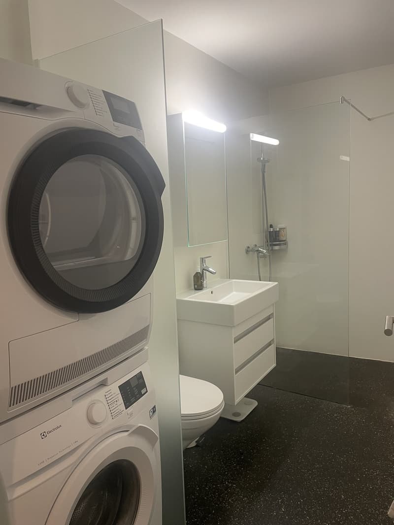 2,5-Zimmer-Wohnung in Hottingen (vorübergehend - Mitte Juli bis September) (10)