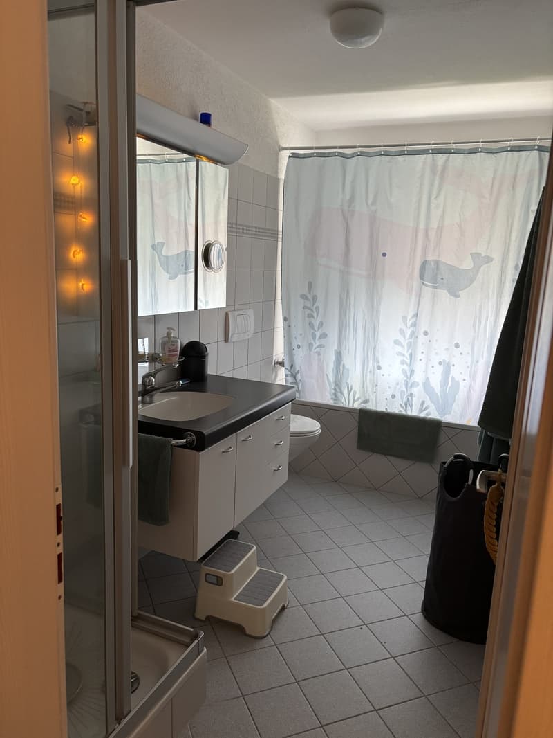 Beautiful 4.5-room maisonette apartment available from 01.09.2026 (10)