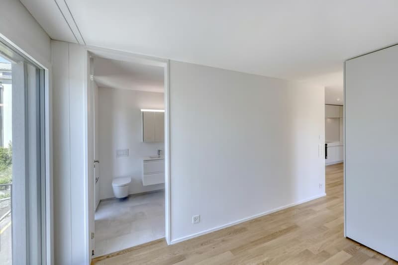 2 Zimmer-Wohnung, 8052 Zürich (4)