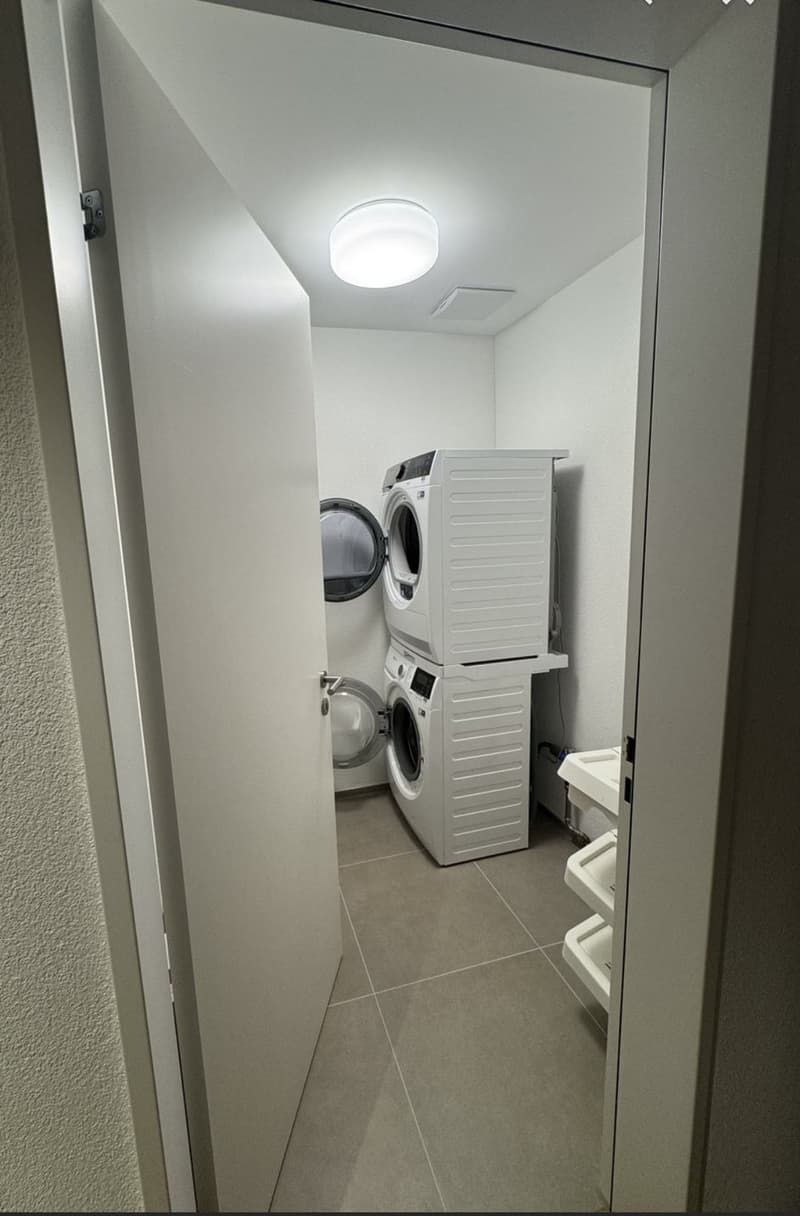 Modern 2.5-room attic apartment in Spreitenbach available immediately! (5)
