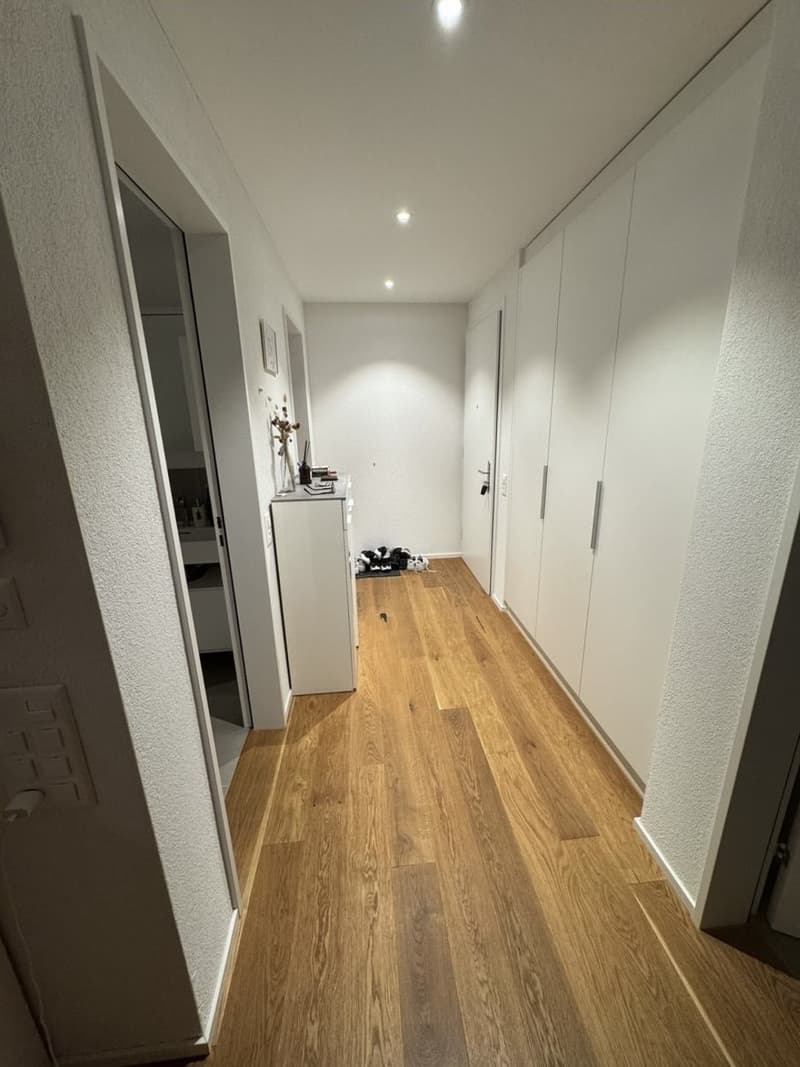 Modern 2.5-room attic apartment in Spreitenbach available immediately! (4)