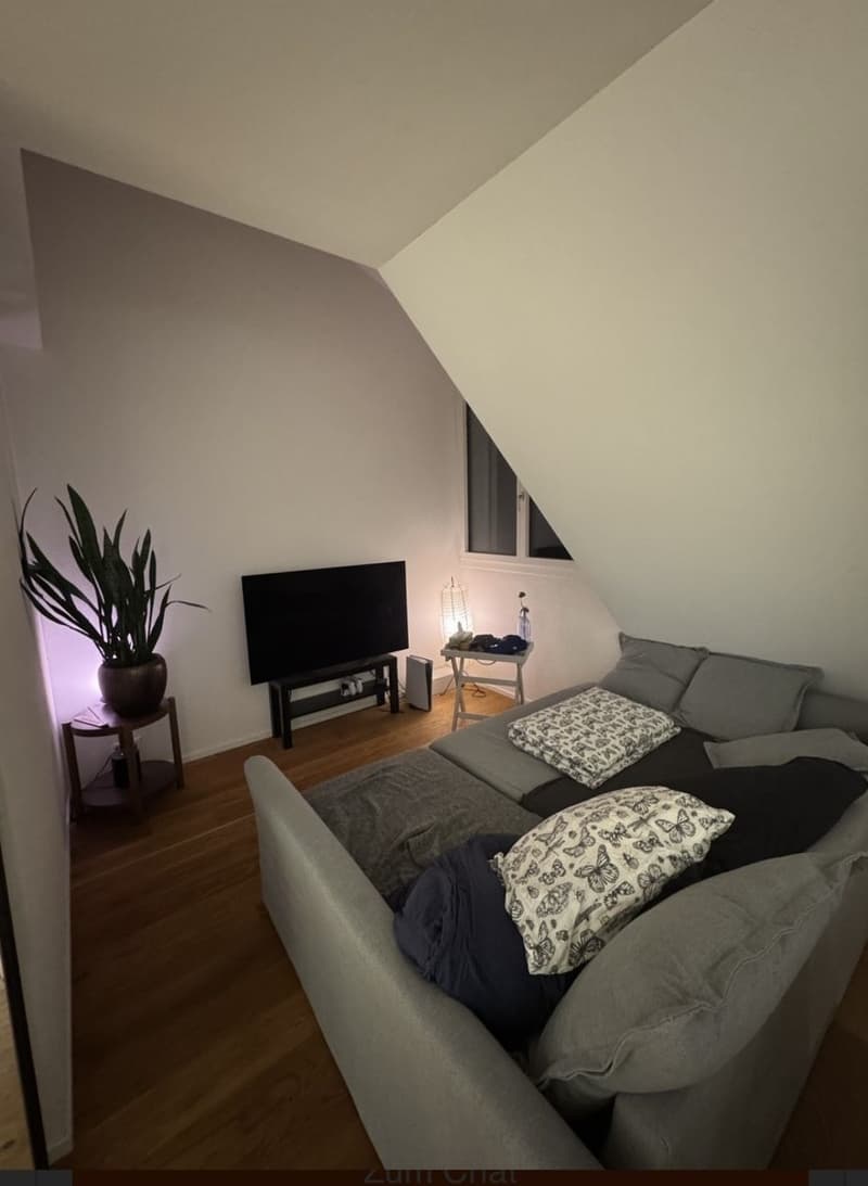 Modern 2.5-room attic apartment in Spreitenbach available immediately! (2)