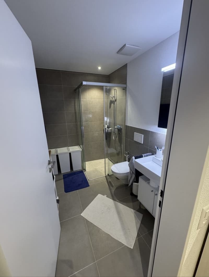 Modern 2.5-room attic apartment in Spreitenbach available immediately! (3)