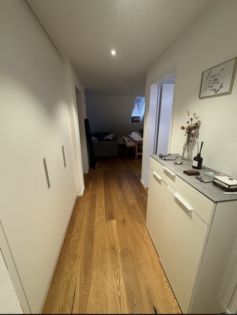 Modern 2.5-room attic apartment in Spreitenbach available immediately! (1)