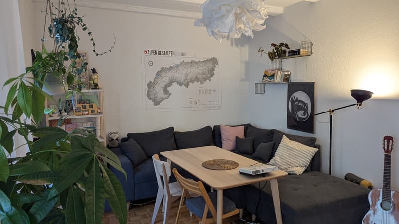 3.5-Zimmer-Wohnung mit Garten, Quellenstrasse, 8005 - verfügbar ab 01.09.2026 (2)