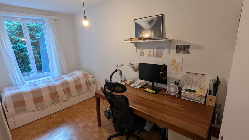 Office/guest room