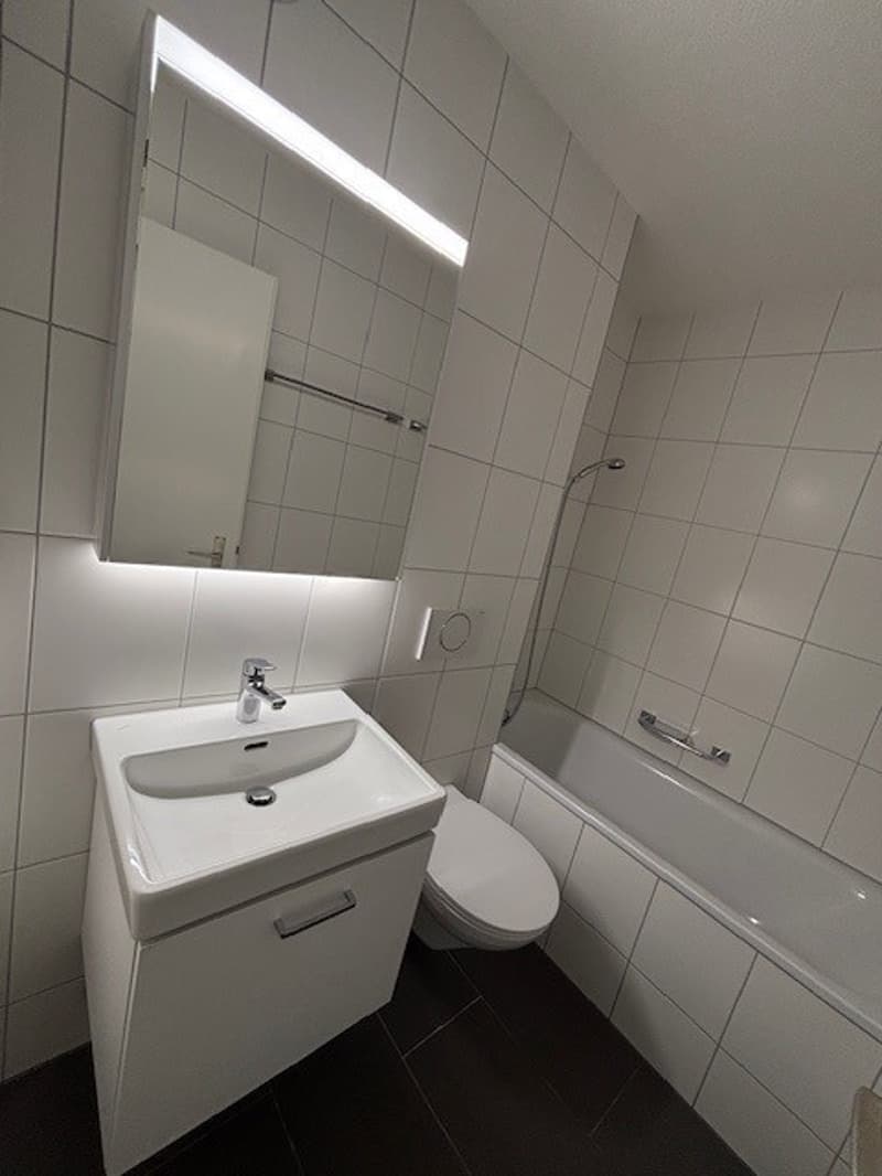 2 Bedroom Apartment Hegger 5 Schwerzenbach (4)