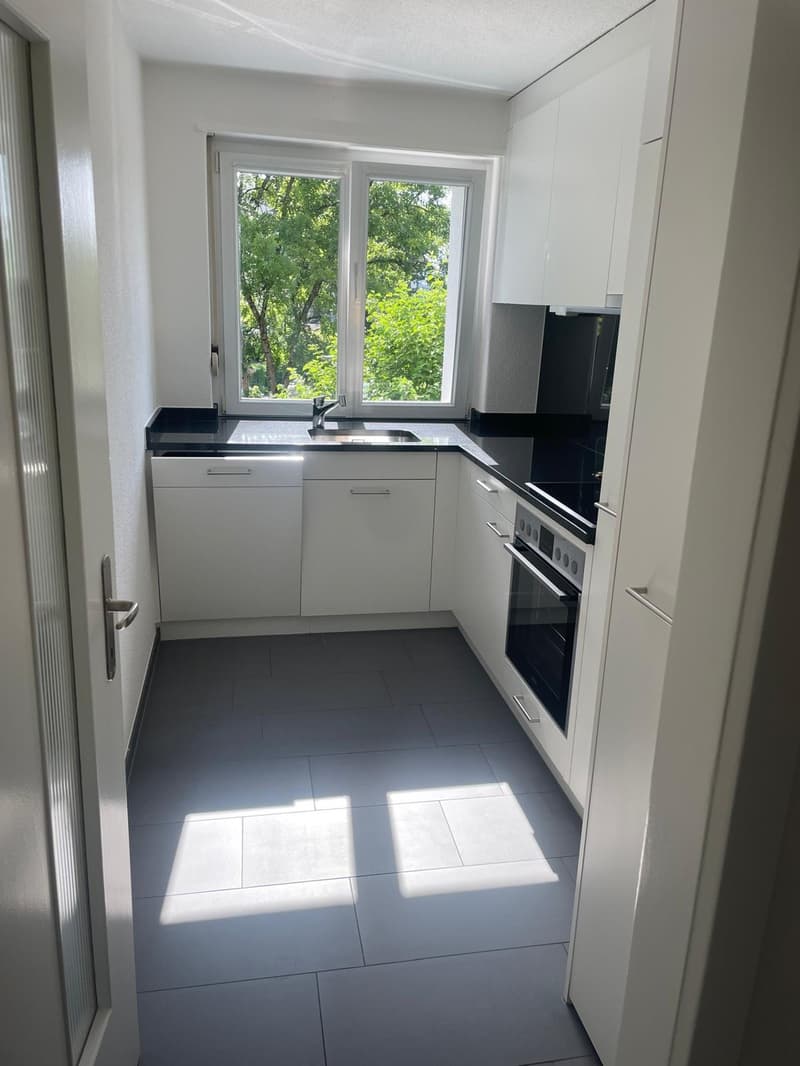 2 Bedroom Apartment Hegger 5 Schwerzenbach (3)