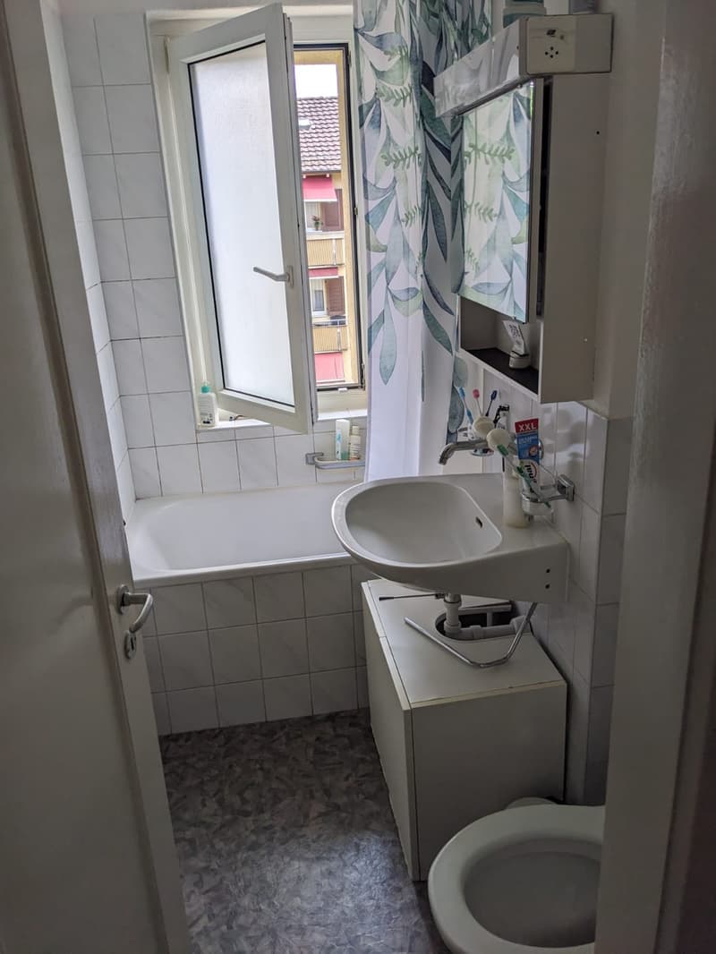 Beautiful 3-room apartment in Schwamendingen (2)