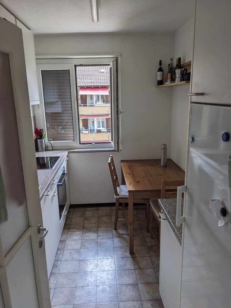 Beautiful 3-room apartment in Schwamendingen (3)