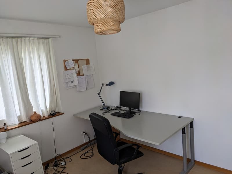 Beautiful 3-room apartment in Schwamendingen (6)