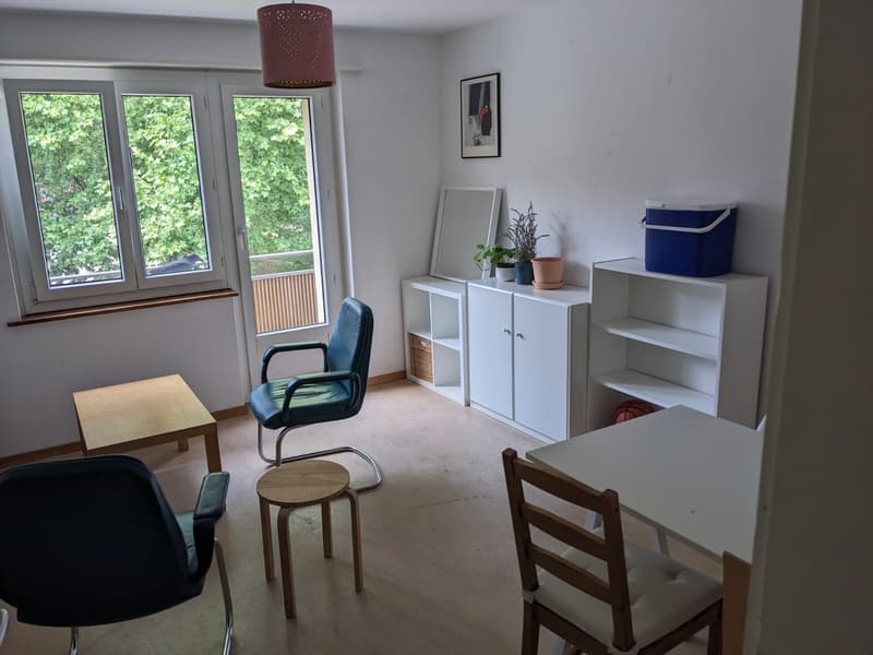 Beautiful 3-room apartment in Schwamendingen (1)