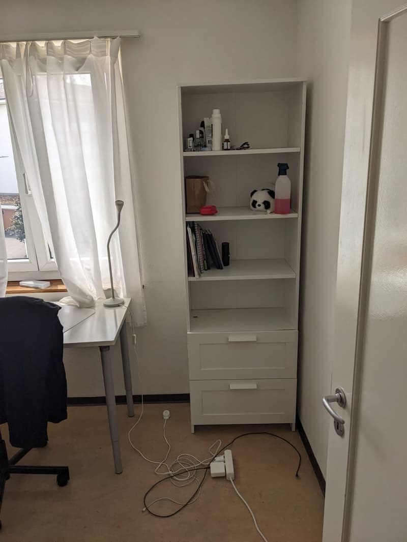 Beautiful 3-room apartment in Schwamendingen (4)