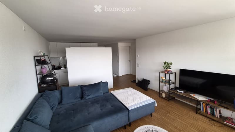 Furnished 2.5 room apartment in Emmenbrücke (3)