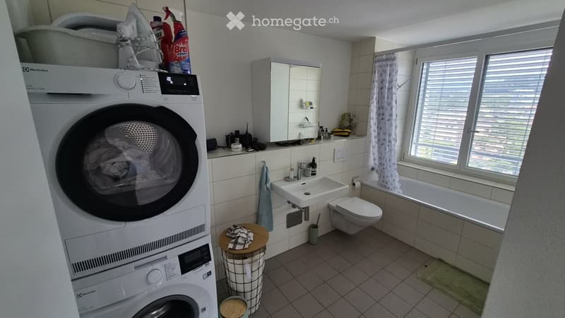 Furnished 2.5 room apartment in Emmenbrücke (2)