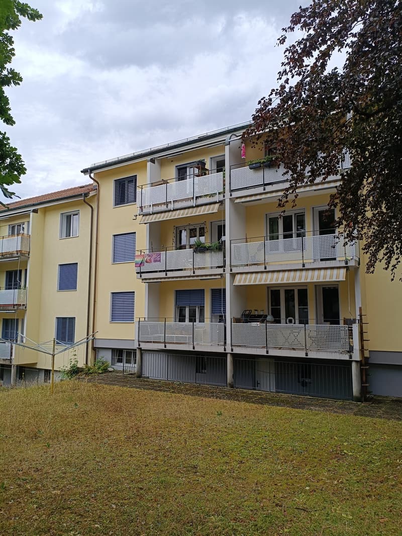 Charming apartment in Holligenquartier (3)