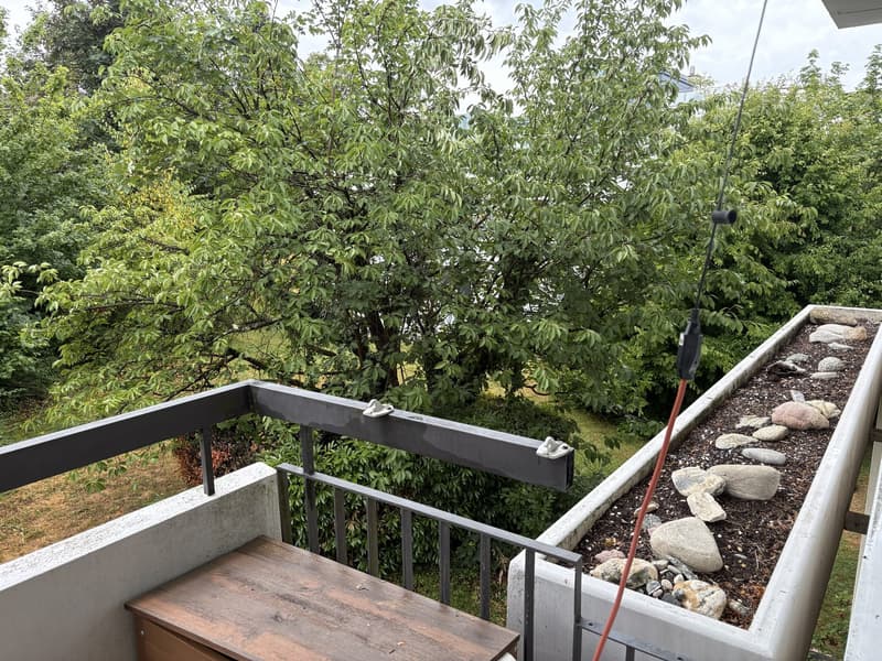 Gemütliche 3-Zimmer-Wohnung (83 m²) in Nussbaumen AG (13)