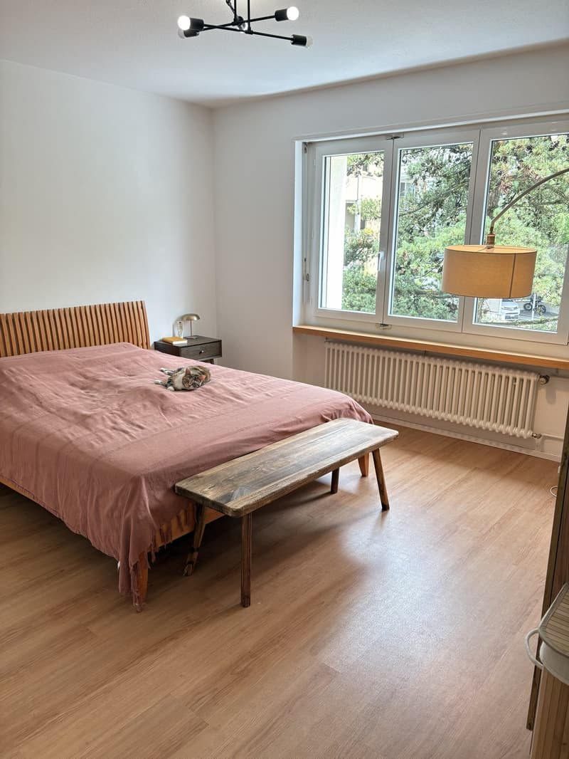 Gemütliche 3-Zimmer-Wohnung (83 m²) in Nussbaumen AG (10)